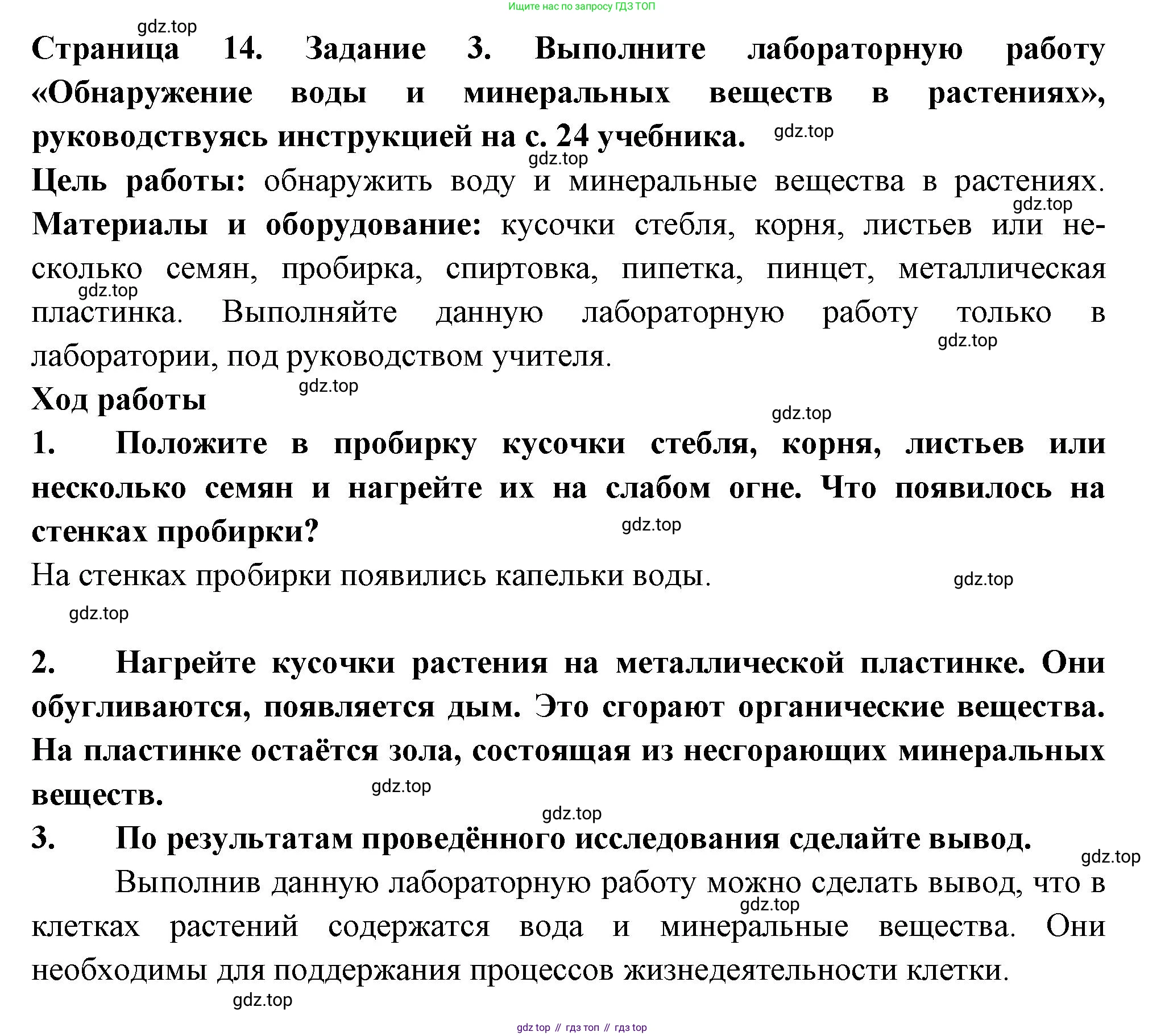 ГДЗ Биология, 6 класс рабочая тетрадь, авторы: Пасечник Владимир Васильевич, Суматохин Сергей Витальевич, Швецов Глеб Геннадьевич, Гапонюк Зоя Георгиевна, Косарькова Марина Викторовна, издательство Просвещение, Москва, 2023, белого цвета, страница 14, номер 3, Решение