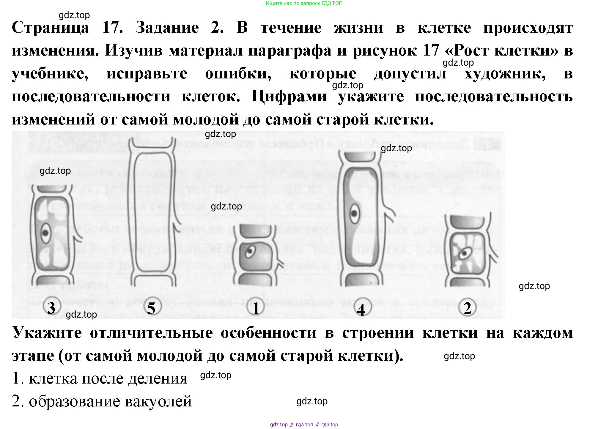 ГДЗ Биология, 6 класс рабочая тетрадь, авторы: Пасечник Владимир Васильевич, Суматохин Сергей Витальевич, Швецов Глеб Геннадьевич, Гапонюк Зоя Георгиевна, Косарькова Марина Викторовна, издательство Просвещение, Москва, 2023, белого цвета, страница 17, номер 2, Решение