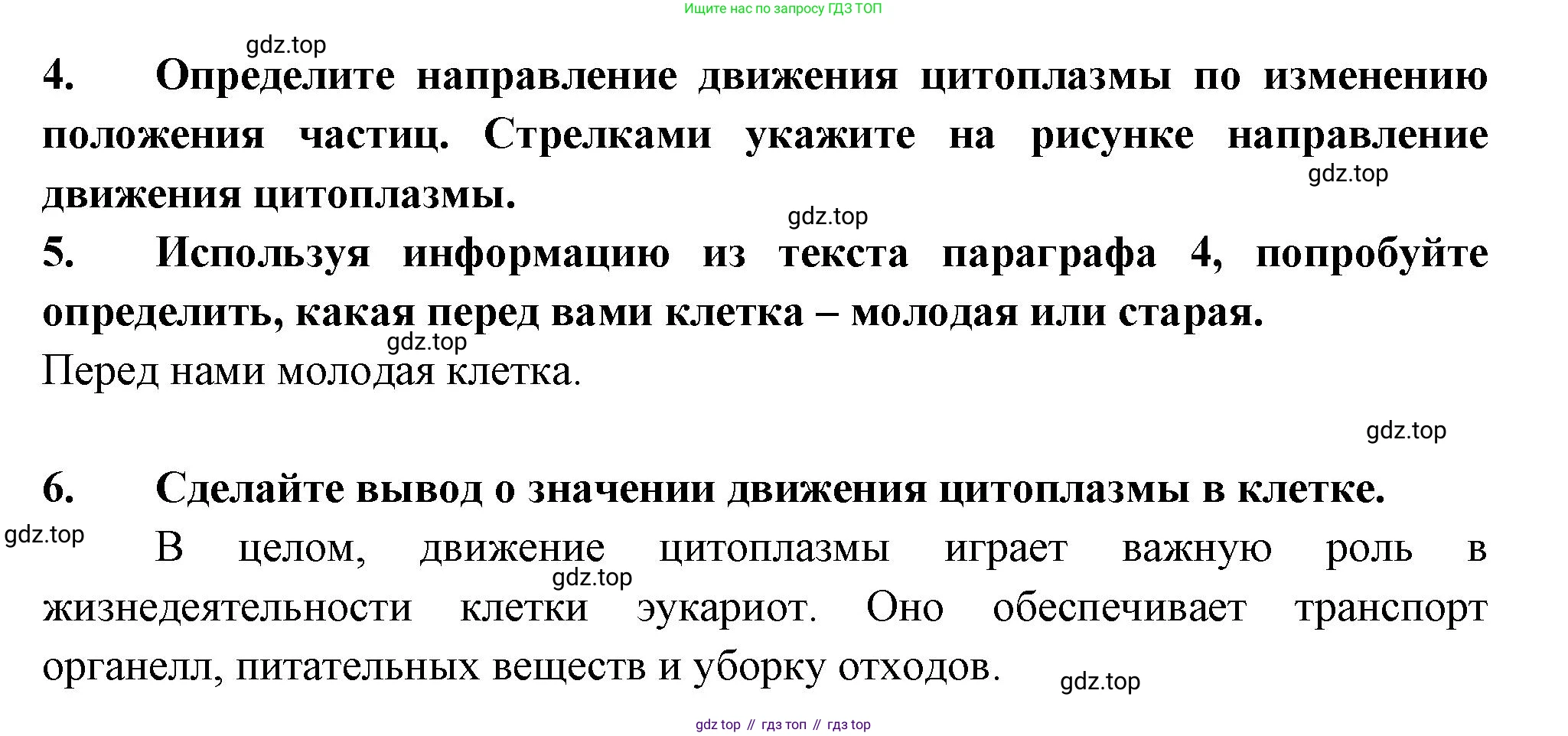 ГДЗ Биология, 6 класс рабочая тетрадь, авторы: Пасечник Владимир Васильевич, Суматохин Сергей Витальевич, Швецов Глеб Геннадьевич, Гапонюк Зоя Георгиевна, Косарькова Марина Викторовна, издательство Просвещение, Москва, 2023, белого цвета, страница 19, номер 7, Решение (продолжение 2)