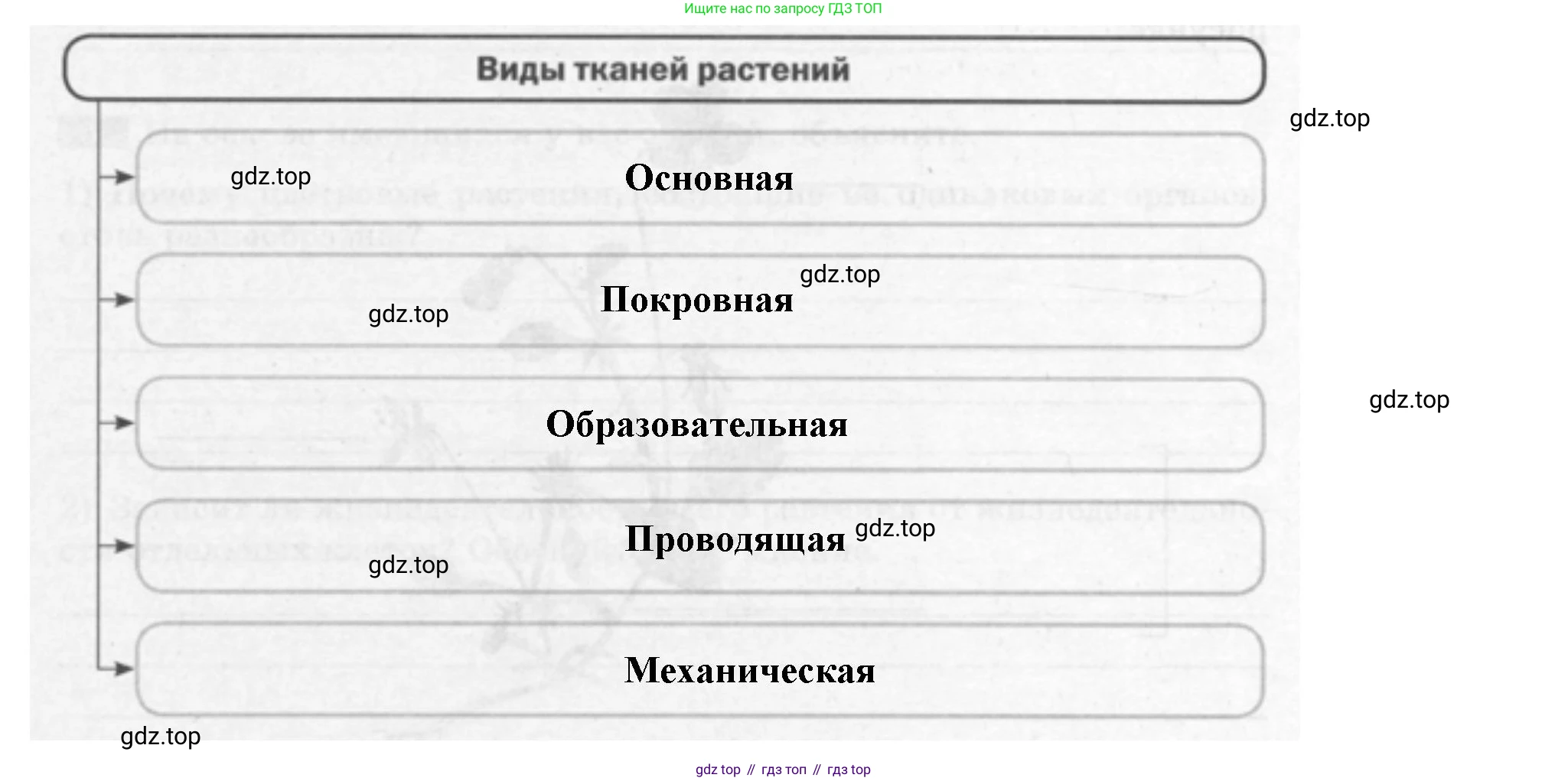 ГДЗ Биология, 6 класс рабочая тетрадь, авторы: Пасечник Владимир Васильевич, Суматохин Сергей Витальевич, Швецов Глеб Геннадьевич, Гапонюк Зоя Георгиевна, Косарькова Марина Викторовна, издательство Просвещение, Москва, 2023, белого цвета, страница 21, номер 3, Решение (продолжение 2)