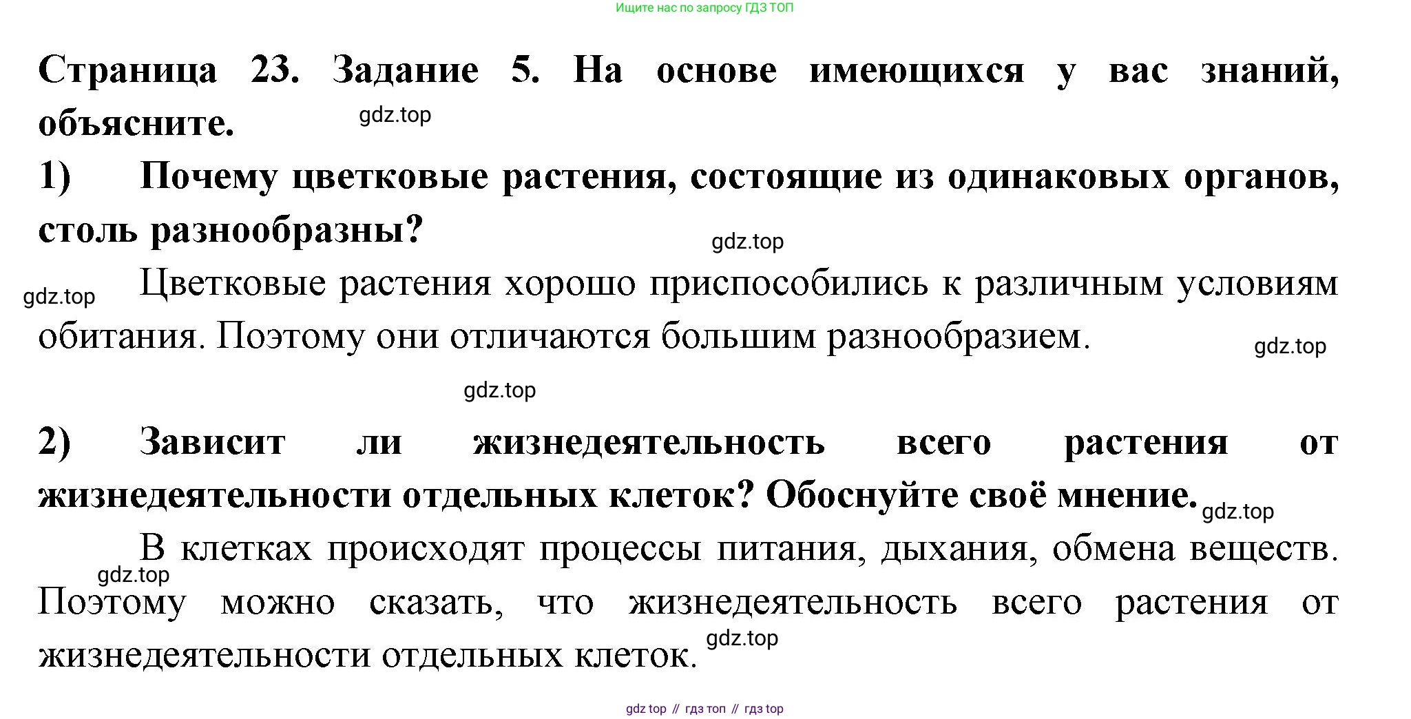 ГДЗ Биология, 6 класс рабочая тетрадь, авторы: Пасечник Владимир Васильевич, Суматохин Сергей Витальевич, Швецов Глеб Геннадьевич, Гапонюк Зоя Георгиевна, Косарькова Марина Викторовна, издательство Просвещение, Москва, 2023, белого цвета, страница 23, номер 5, Решение