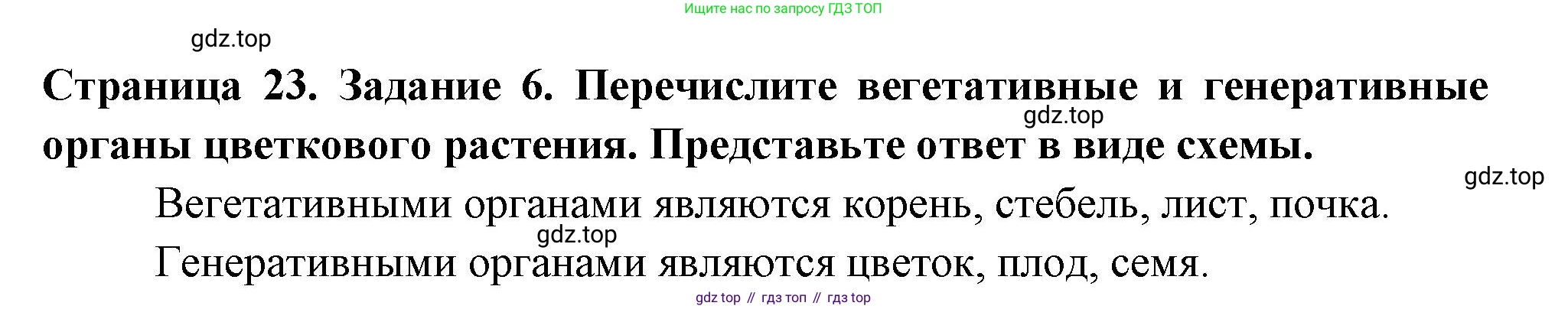 ГДЗ Биология, 6 класс рабочая тетрадь, авторы: Пасечник Владимир Васильевич, Суматохин Сергей Витальевич, Швецов Глеб Геннадьевич, Гапонюк Зоя Георгиевна, Косарькова Марина Викторовна, издательство Просвещение, Москва, 2023, белого цвета, страница 23, номер 6, Решение