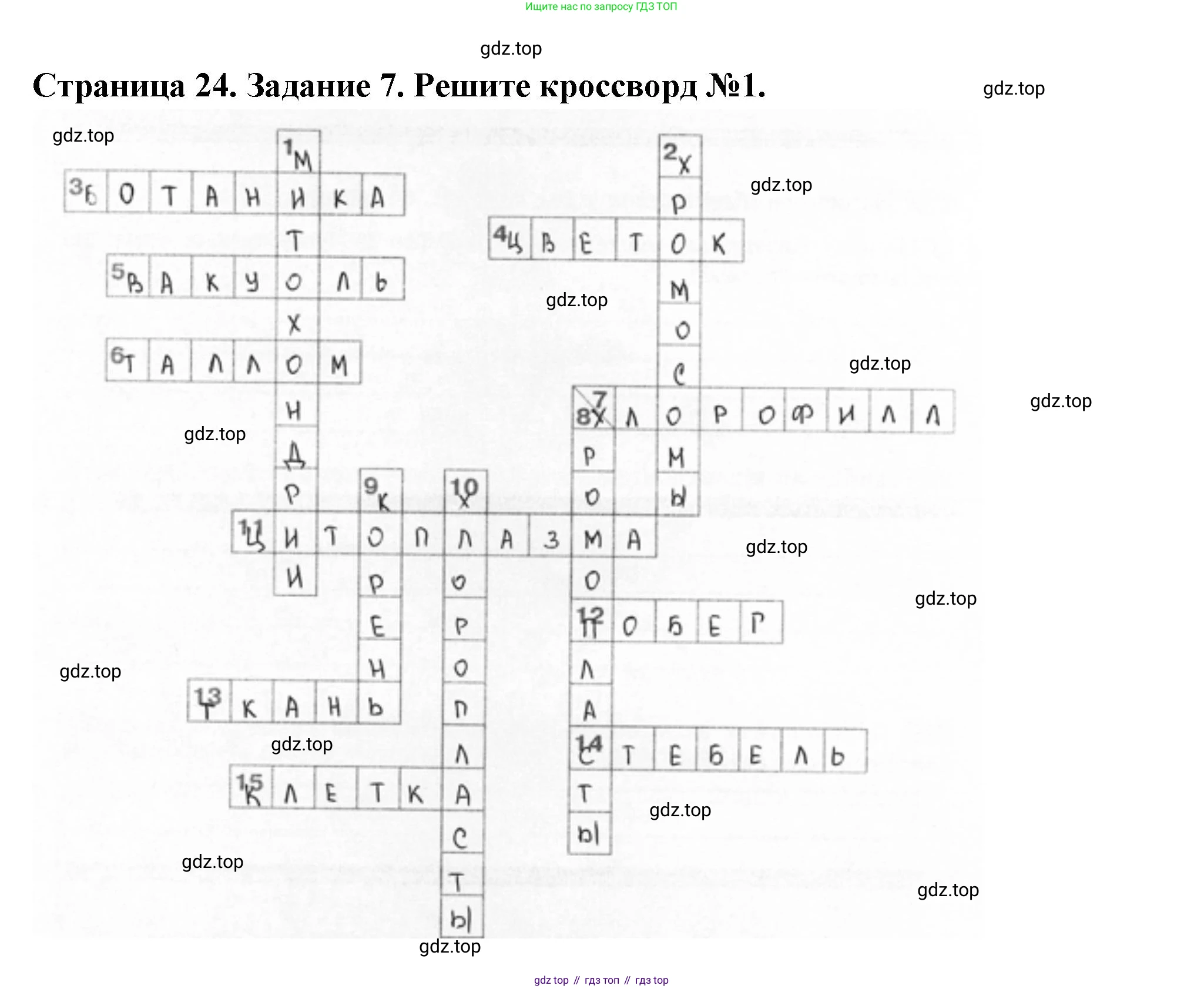 Биология, 6 класс рабочая тетрадь, авторы: Пасечник Владимир Васильевич, Суматохин Сергей Витальевич, Швецов Глеб Геннадьевич, Гапонюк Зоя Георгиевна, Косарькова Марина Викторовна, издательство Просвещение, Москва, 2023, белого цвета, страница 24, номер 7, Решение