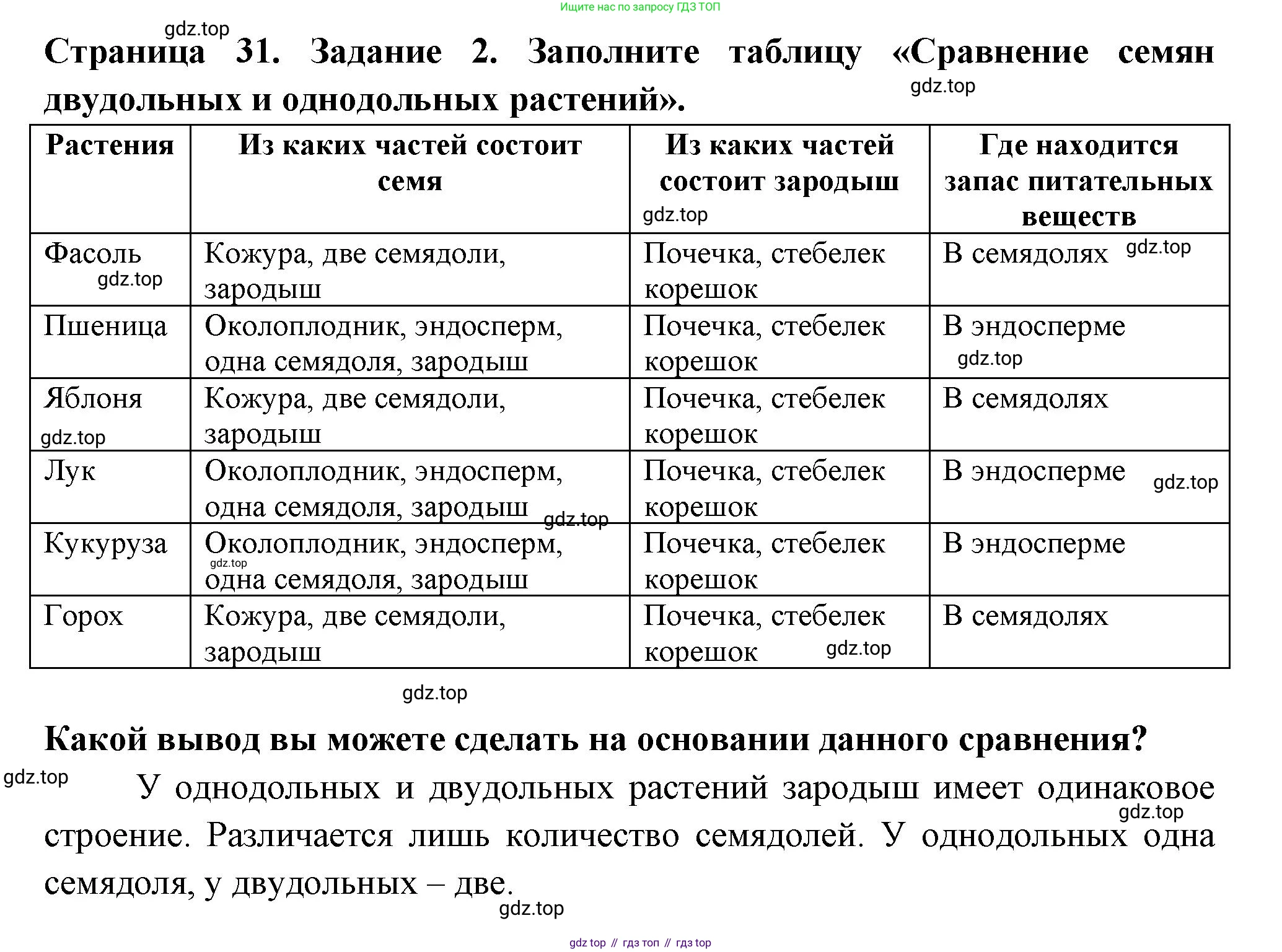 ГДЗ Биология, 6 класс рабочая тетрадь, авторы: Пасечник Владимир Васильевич, Суматохин Сергей Витальевич, Швецов Глеб Геннадьевич, Гапонюк Зоя Георгиевна, Косарькова Марина Викторовна, издательство Просвещение, Москва, 2023, белого цвета, страница 31, номер 2, Решение