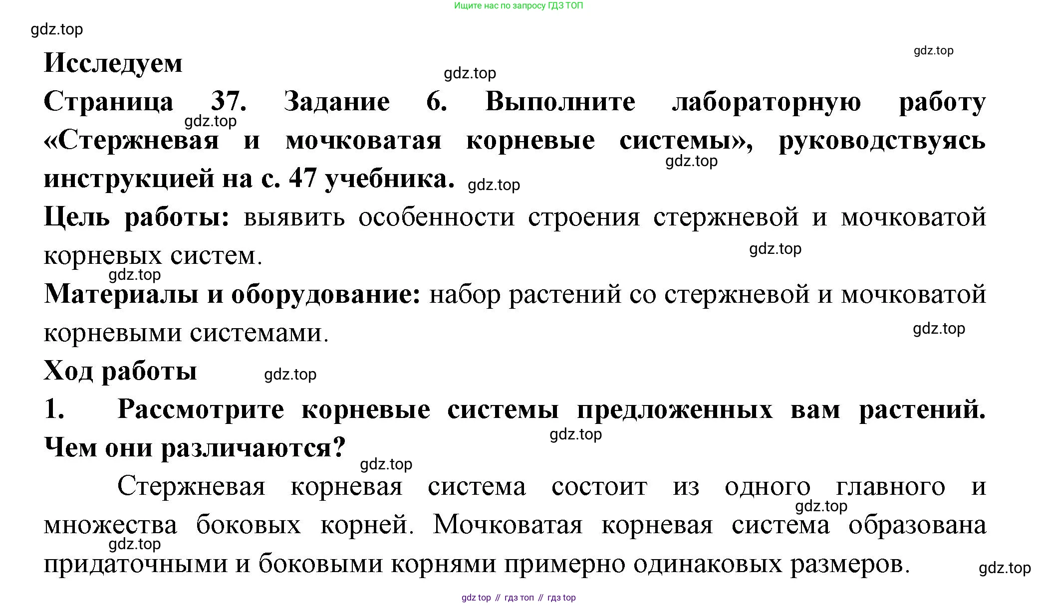 Биология, 6 класс рабочая тетрадь, авторы: Пасечник Владимир Васильевич, Суматохин Сергей Витальевич, Швецов Глеб Геннадьевич, Гапонюк Зоя Георгиевна, Косарькова Марина Викторовна, издательство Просвещение, Москва, 2023, белого цвета, страница 37, номер 6, Решение