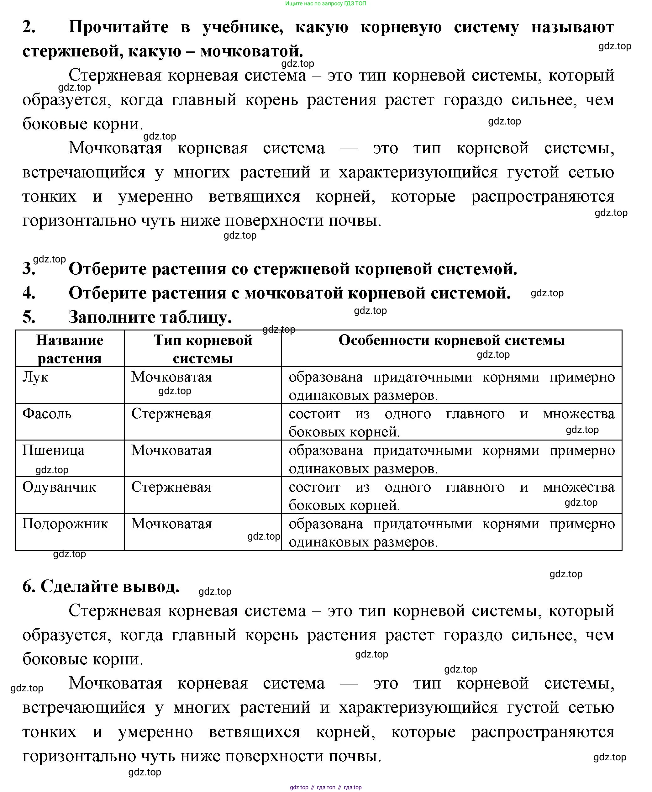 Биология, 6 класс рабочая тетрадь, авторы: Пасечник Владимир Васильевич, Суматохин Сергей Витальевич, Швецов Глеб Геннадьевич, Гапонюк Зоя Георгиевна, Косарькова Марина Викторовна, издательство Просвещение, Москва, 2023, белого цвета, страница 37, номер 6, Решение (продолжение 2)