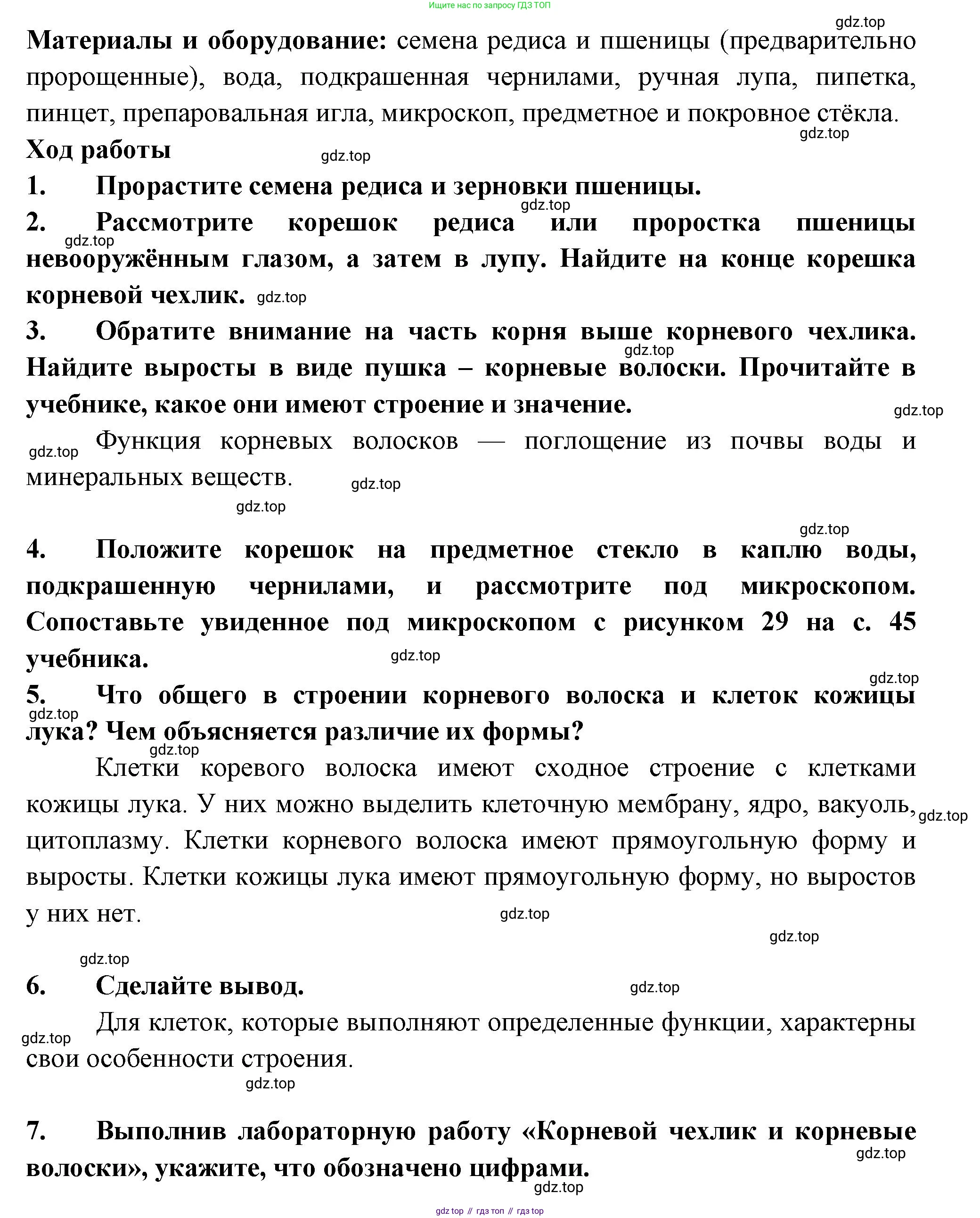 ГДЗ Биология, 6 класс рабочая тетрадь, авторы: Пасечник Владимир Васильевич, Суматохин Сергей Витальевич, Швецов Глеб Геннадьевич, Гапонюк Зоя Георгиевна, Косарькова Марина Викторовна, издательство Просвещение, Москва, 2023, белого цвета, страница 39, номер 8, Решение (продолжение 2)