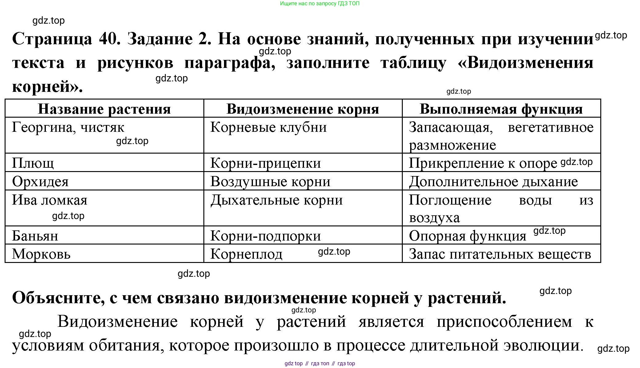 ГДЗ Биология, 6 класс рабочая тетрадь, авторы: Пасечник Владимир Васильевич, Суматохин Сергей Витальевич, Швецов Глеб Геннадьевич, Гапонюк Зоя Георгиевна, Косарькова Марина Викторовна, издательство Просвещение, Москва, 2023, белого цвета, страница 40, номер 2, Решение