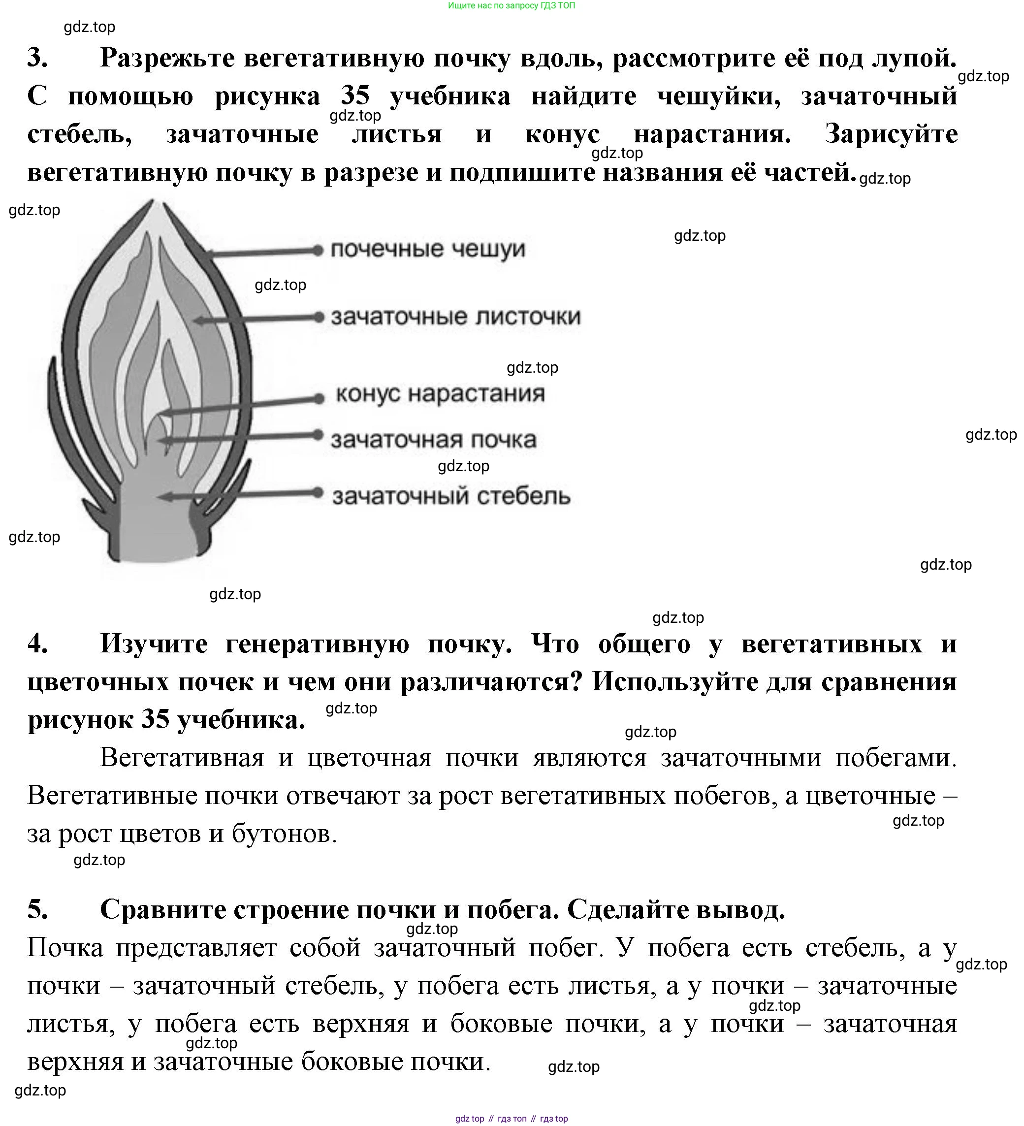 ГДЗ Биология, 6 класс рабочая тетрадь, авторы: Пасечник Владимир Васильевич, Суматохин Сергей Витальевич, Швецов Глеб Геннадьевич, Гапонюк Зоя Георгиевна, Косарькова Марина Викторовна, издательство Просвещение, Москва, 2023, белого цвета, страница 45, номер 9, Решение (продолжение 2)