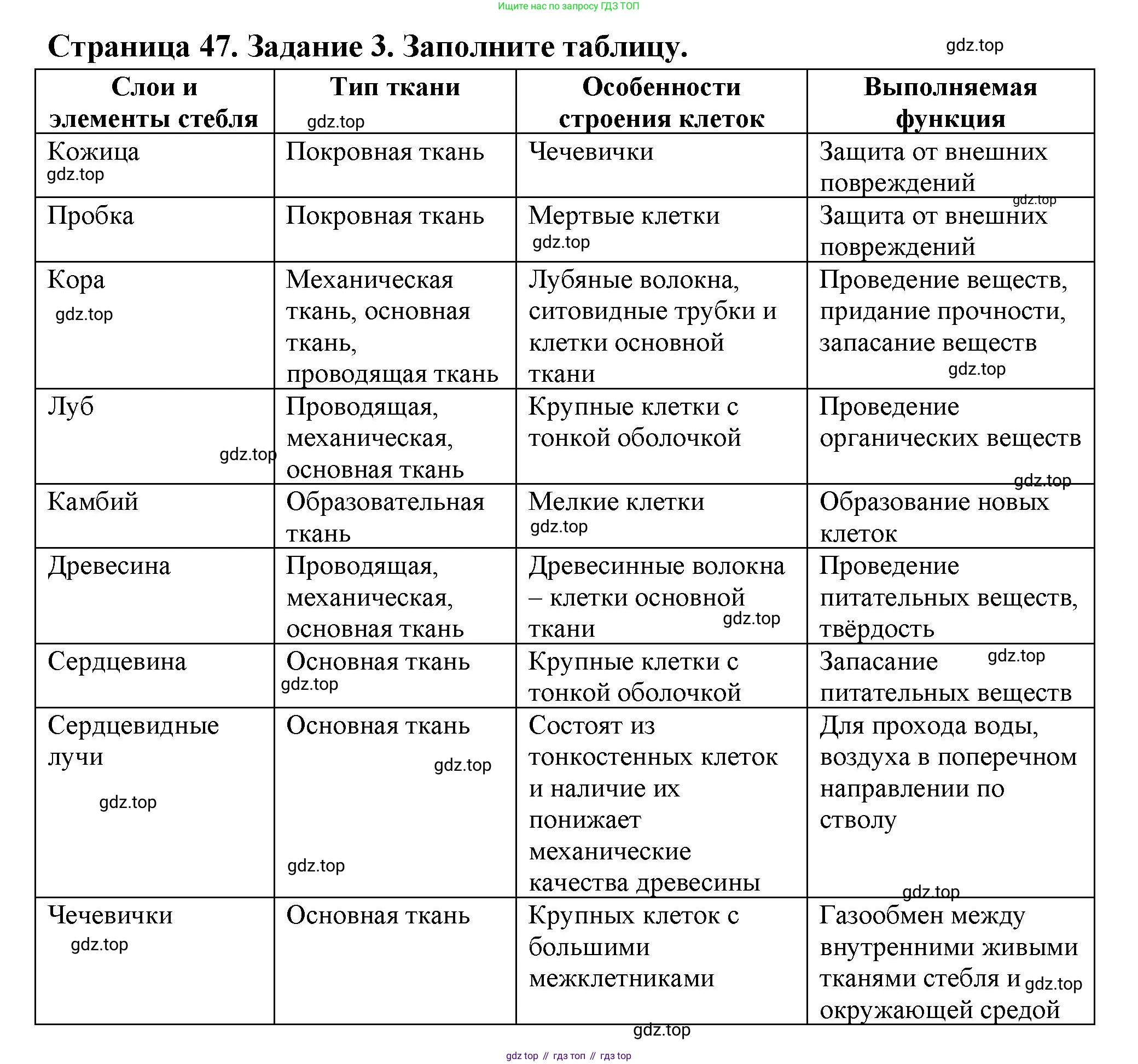 ГДЗ Биология, 6 класс рабочая тетрадь, авторы: Пасечник Владимир Васильевич, Суматохин Сергей Витальевич, Швецов Глеб Геннадьевич, Гапонюк Зоя Георгиевна, Косарькова Марина Викторовна, издательство Просвещение, Москва, 2023, белого цвета, страница 47, номер 3, Решение