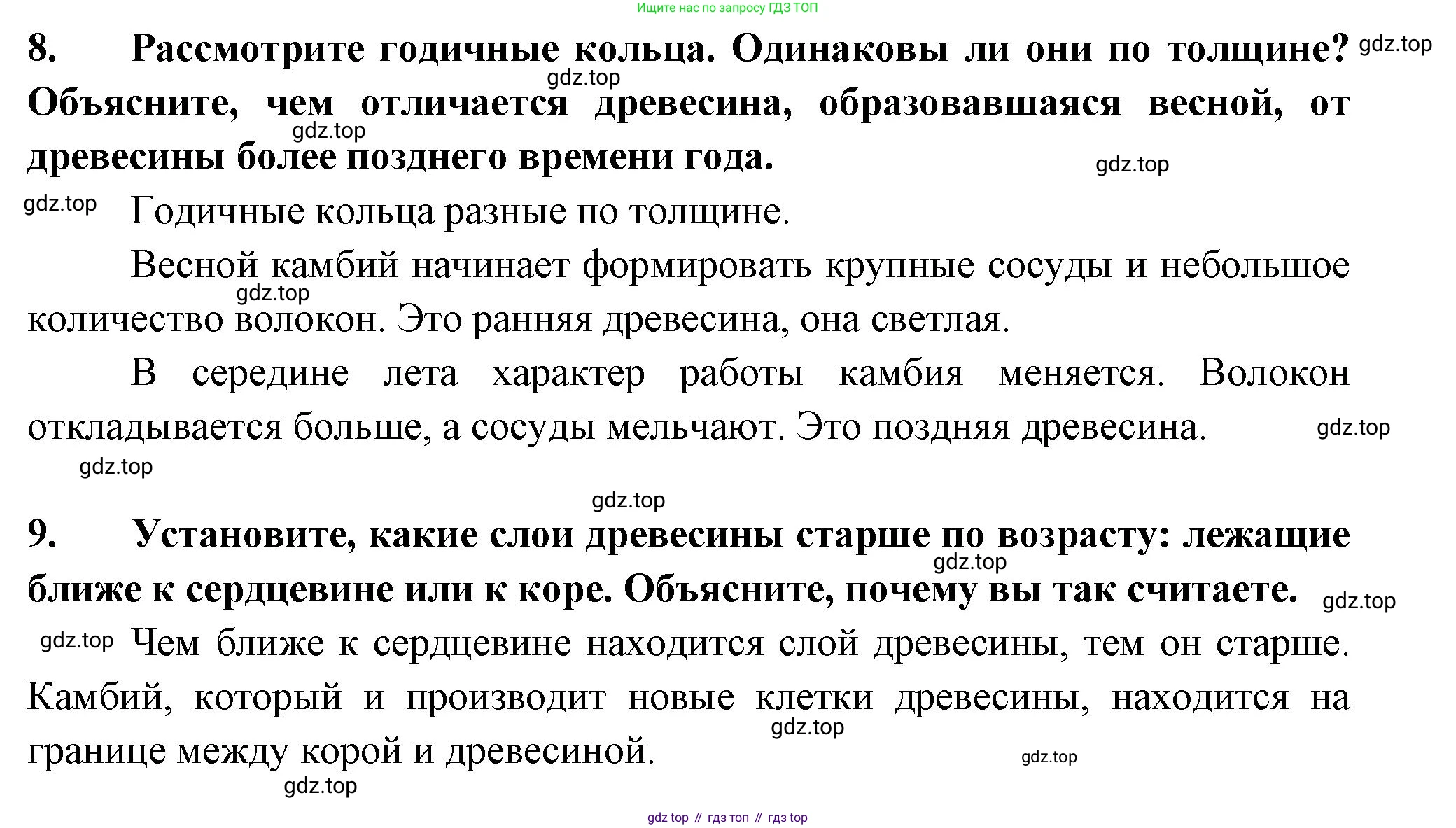 ГДЗ Биология, 6 класс рабочая тетрадь, авторы: Пасечник Владимир Васильевич, Суматохин Сергей Витальевич, Швецов Глеб Геннадьевич, Гапонюк Зоя Георгиевна, Косарькова Марина Викторовна, издательство Просвещение, Москва, 2023, белого цвета, страница 49, номер 6, Решение (продолжение 3)