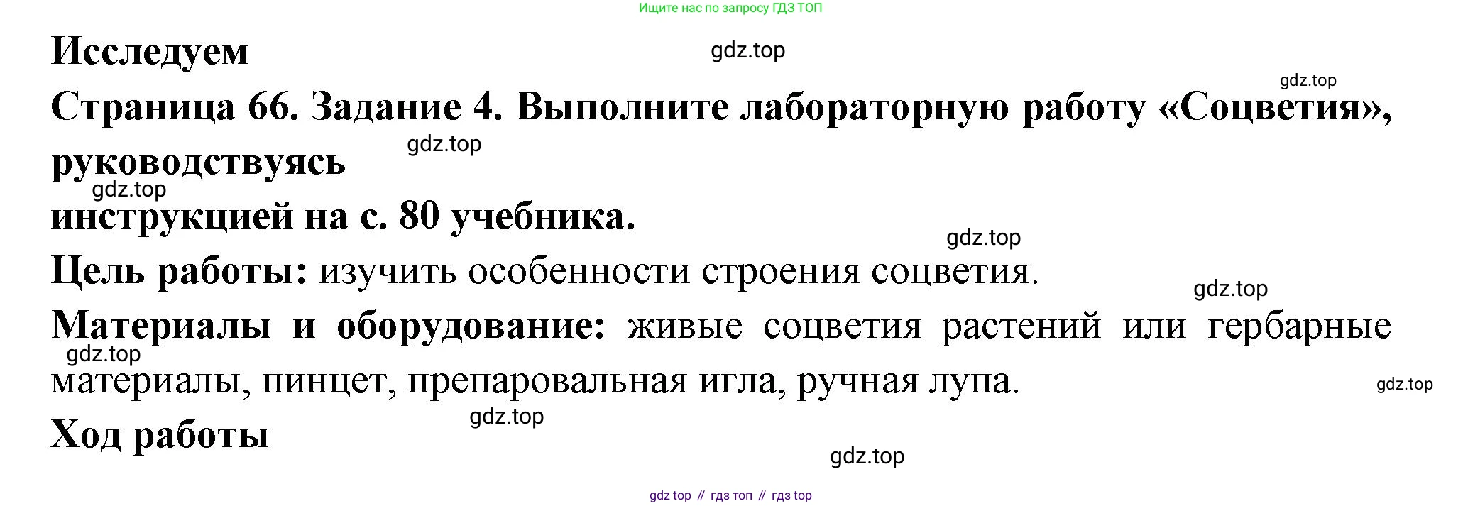 ГДЗ Биология, 6 класс рабочая тетрадь, авторы: Пасечник Владимир Васильевич, Суматохин Сергей Витальевич, Швецов Глеб Геннадьевич, Гапонюк Зоя Георгиевна, Косарькова Марина Викторовна, издательство Просвещение, Москва, 2023, белого цвета, страница 66, номер 4, Решение