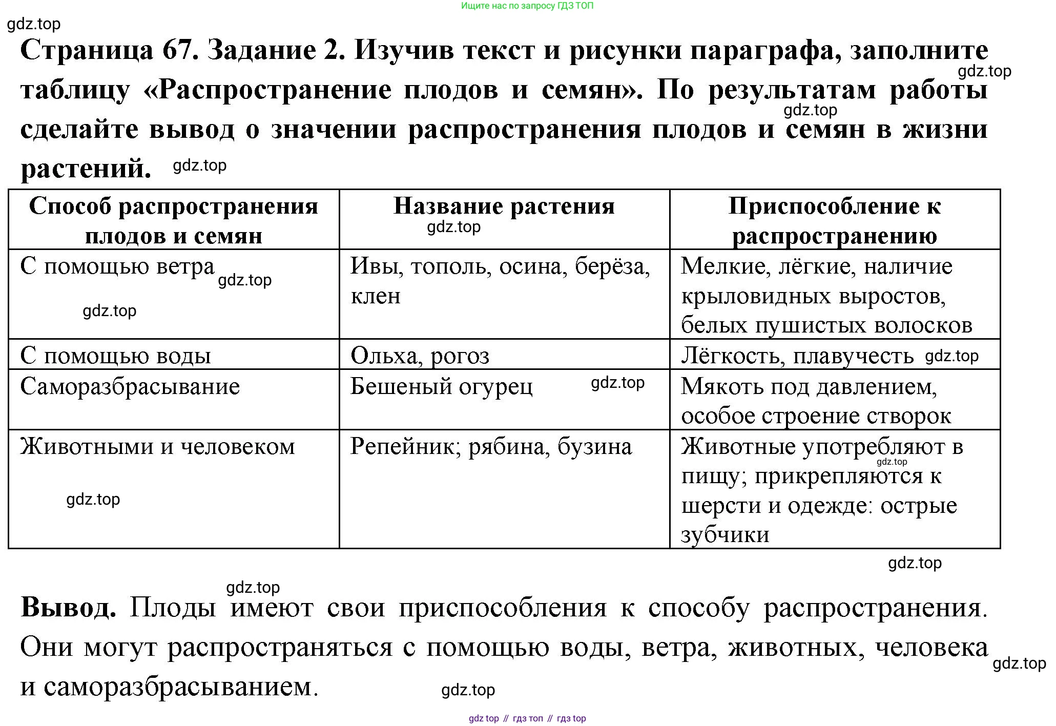 ГДЗ Биология, 6 класс рабочая тетрадь, авторы: Пасечник Владимир Васильевич, Суматохин Сергей Витальевич, Швецов Глеб Геннадьевич, Гапонюк Зоя Георгиевна, Косарькова Марина Викторовна, издательство Просвещение, Москва, 2023, белого цвета, страница 67, номер 2, Решение