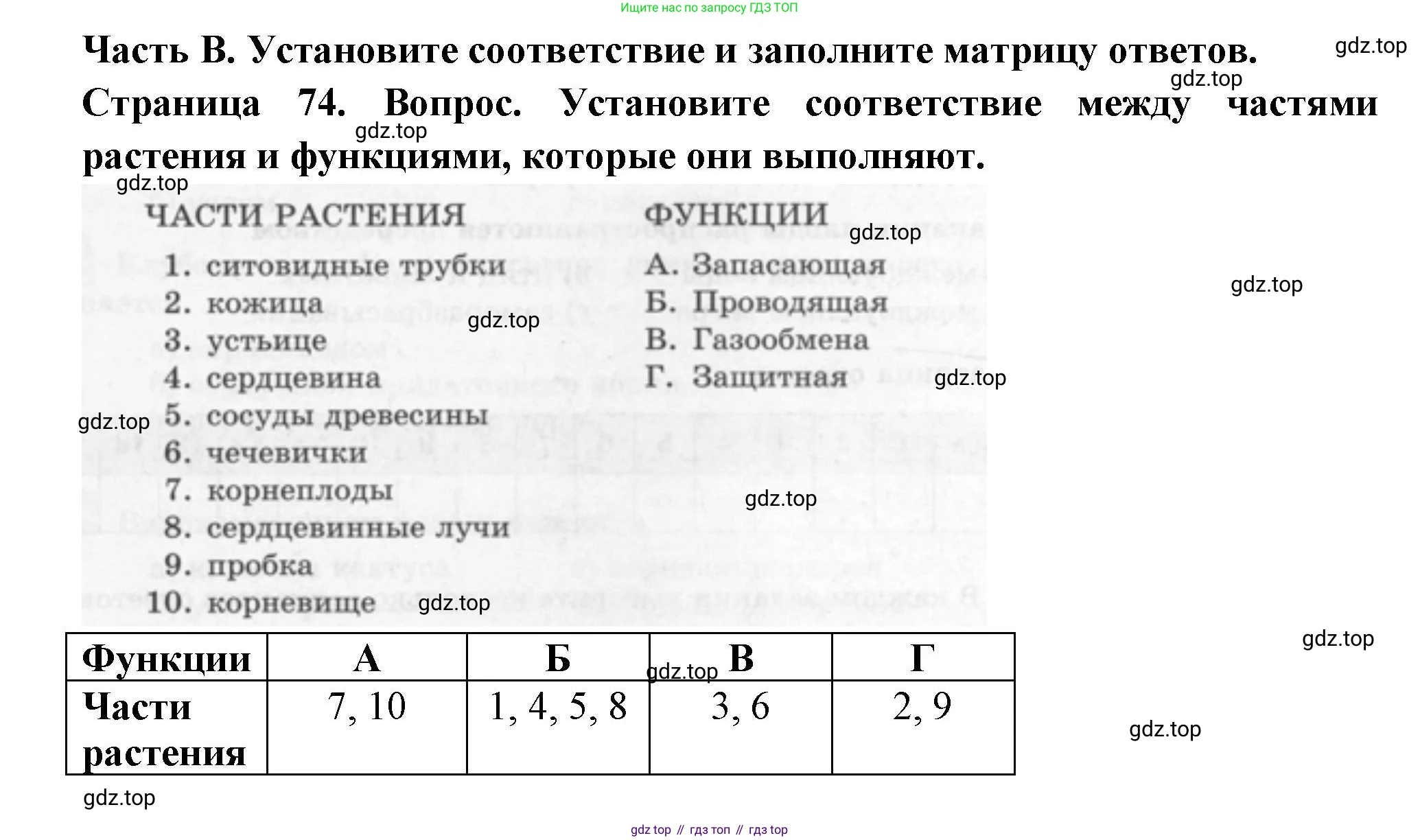 ГДЗ Биология, 6 класс рабочая тетрадь, авторы: Пасечник Владимир Васильевич, Суматохин Сергей Витальевич, Швецов Глеб Геннадьевич, Гапонюк Зоя Георгиевна, Косарькова Марина Викторовна, издательство Просвещение, Москва, 2023, белого цвета, страница 74, номер 1, Решение