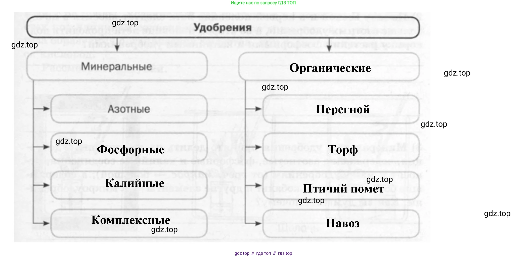 ГДЗ Биология, 6 класс рабочая тетрадь, авторы: Пасечник Владимир Васильевич, Суматохин Сергей Витальевич, Швецов Глеб Геннадьевич, Гапонюк Зоя Георгиевна, Косарькова Марина Викторовна, издательство Просвещение, Москва, 2023, белого цвета, страница 79, номер 3, Решение (продолжение 2)
