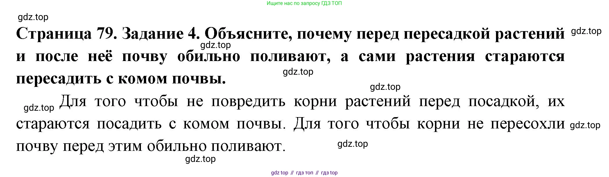 ГДЗ Биология, 6 класс рабочая тетрадь, авторы: Пасечник Владимир Васильевич, Суматохин Сергей Витальевич, Швецов Глеб Геннадьевич, Гапонюк Зоя Георгиевна, Косарькова Марина Викторовна, издательство Просвещение, Москва, 2023, белого цвета, страница 79, номер 4, Решение