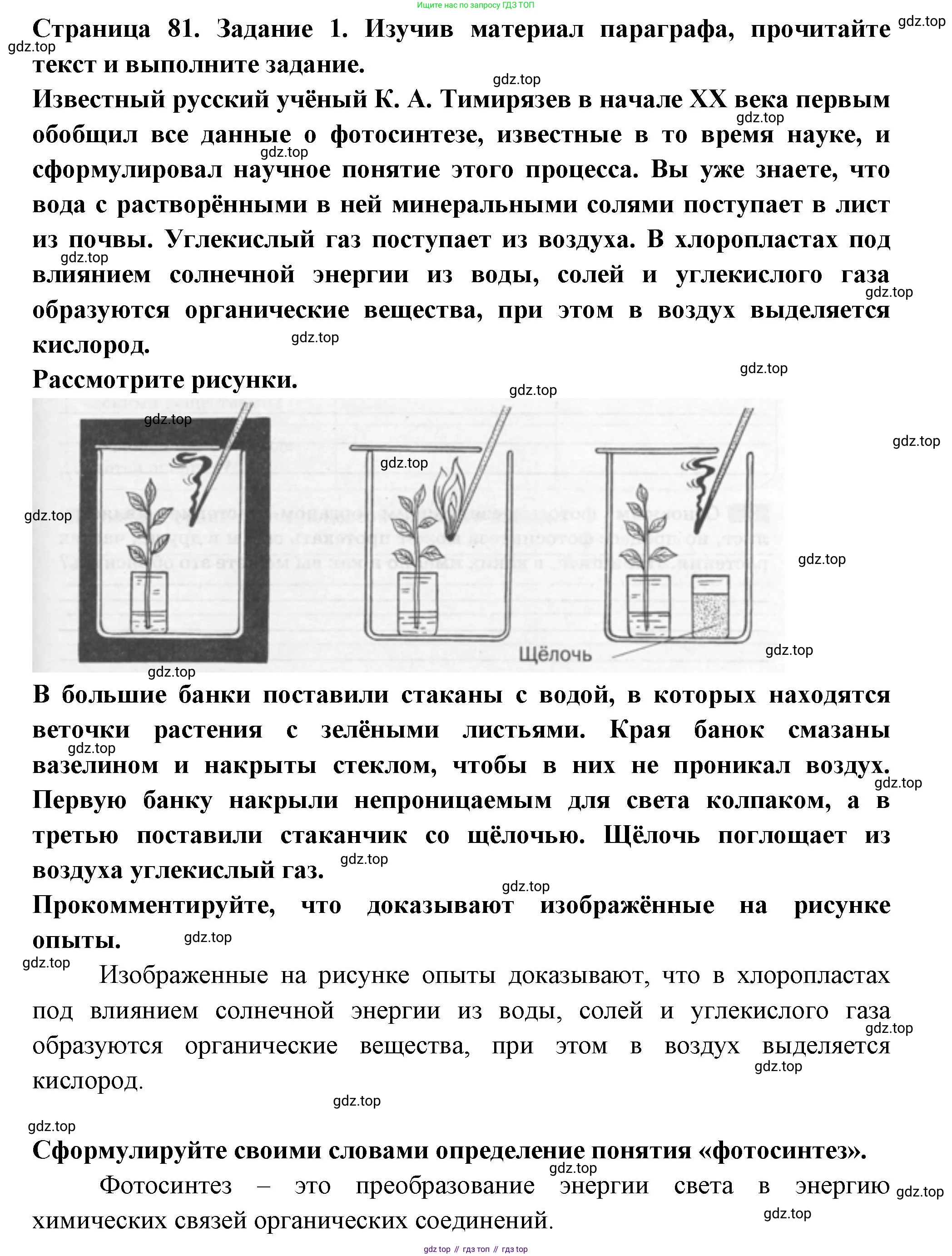 ГДЗ Биология, 6 класс рабочая тетрадь, авторы: Пасечник Владимир Васильевич, Суматохин Сергей Витальевич, Швецов Глеб Геннадьевич, Гапонюк Зоя Георгиевна, Косарькова Марина Викторовна, издательство Просвещение, Москва, 2023, белого цвета, страница 81, номер 1, Решение