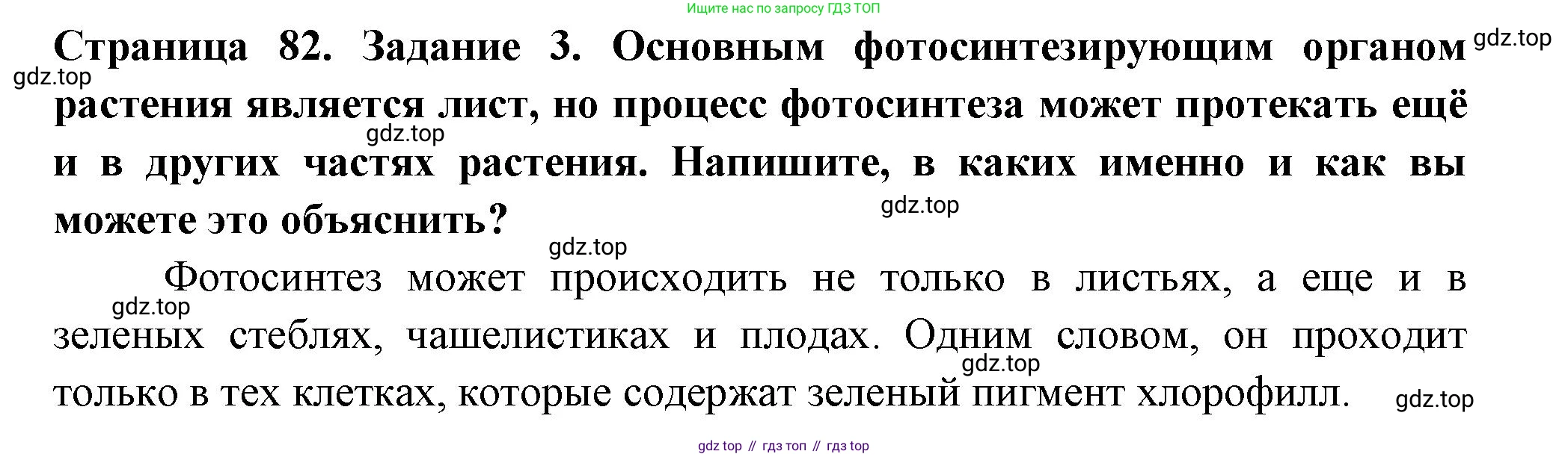 ГДЗ Биология, 6 класс рабочая тетрадь, авторы: Пасечник Владимир Васильевич, Суматохин Сергей Витальевич, Швецов Глеб Геннадьевич, Гапонюк Зоя Георгиевна, Косарькова Марина Викторовна, издательство Просвещение, Москва, 2023, белого цвета, страница 82, номер 3, Решение