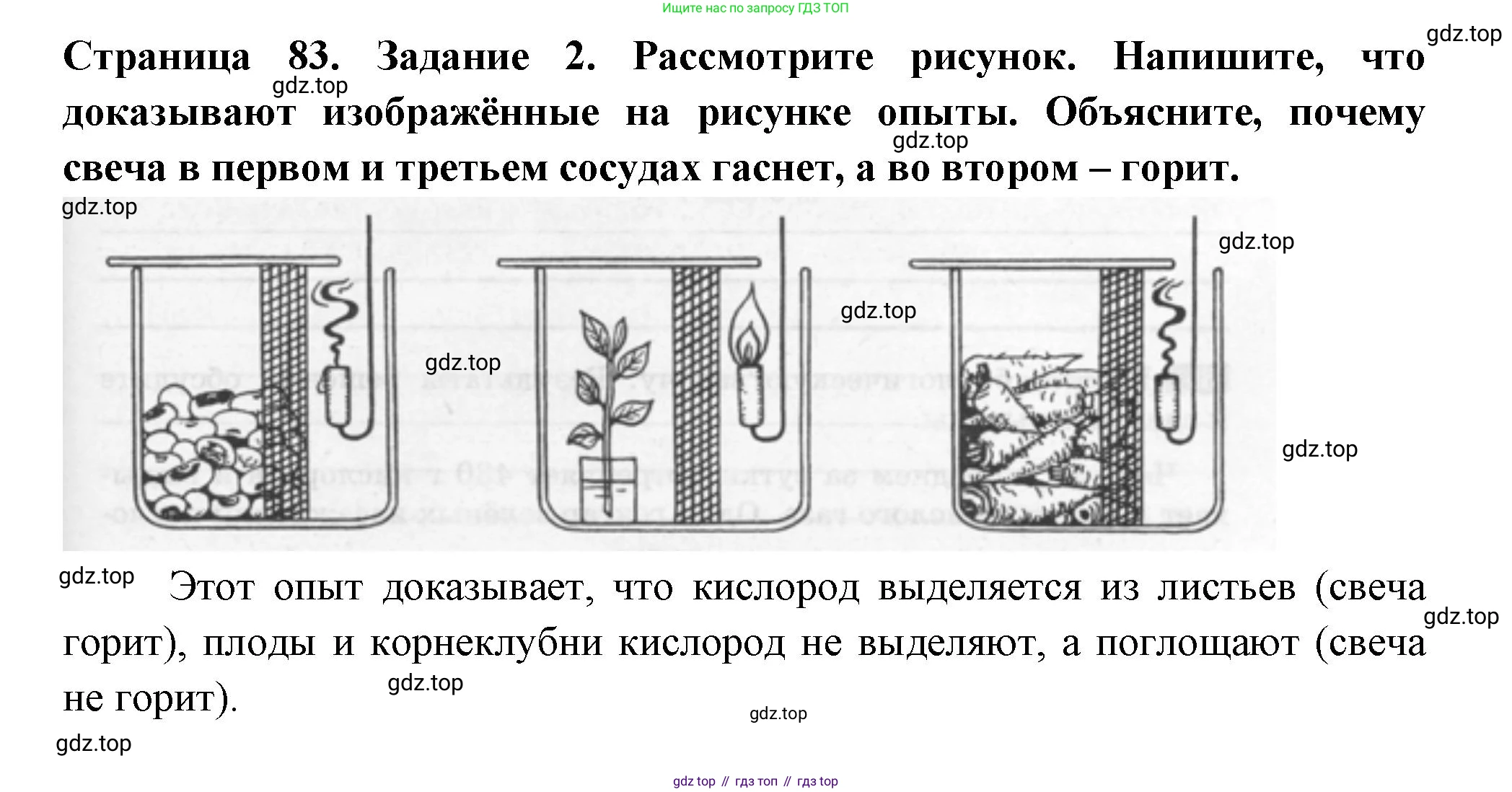 ГДЗ Биология, 6 класс рабочая тетрадь, авторы: Пасечник Владимир Васильевич, Суматохин Сергей Витальевич, Швецов Глеб Геннадьевич, Гапонюк Зоя Георгиевна, Косарькова Марина Викторовна, издательство Просвещение, Москва, 2023, белого цвета, страница 83, номер 2, Решение