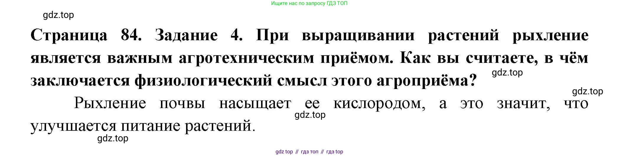 ГДЗ Биология, 6 класс рабочая тетрадь, авторы: Пасечник Владимир Васильевич, Суматохин Сергей Витальевич, Швецов Глеб Геннадьевич, Гапонюк Зоя Георгиевна, Косарькова Марина Викторовна, издательство Просвещение, Москва, 2023, белого цвета, страница 84, номер 4, Решение