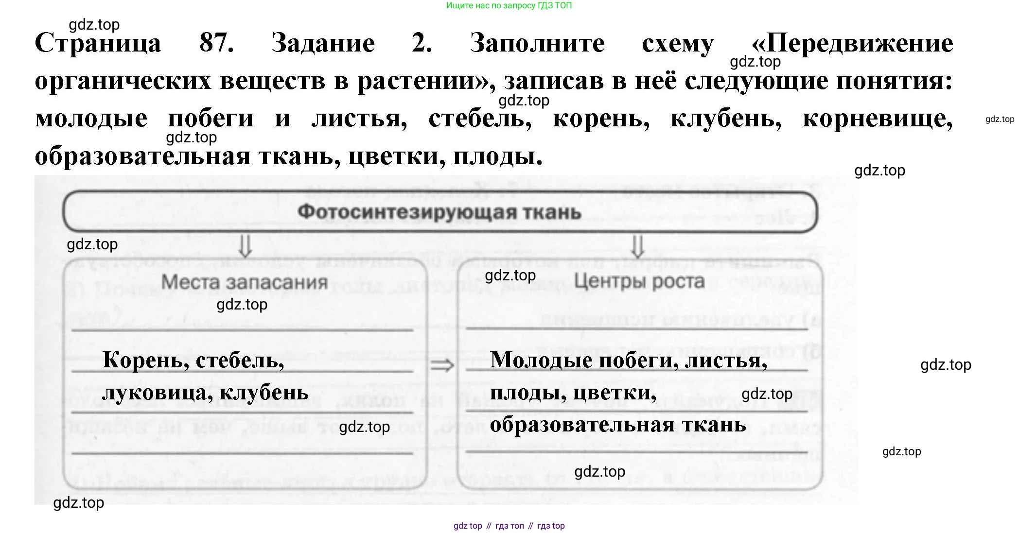 ГДЗ Биология, 6 класс рабочая тетрадь, авторы: Пасечник Владимир Васильевич, Суматохин Сергей Витальевич, Швецов Глеб Геннадьевич, Гапонюк Зоя Георгиевна, Косарькова Марина Викторовна, издательство Просвещение, Москва, 2023, белого цвета, страница 87, номер 2, Решение