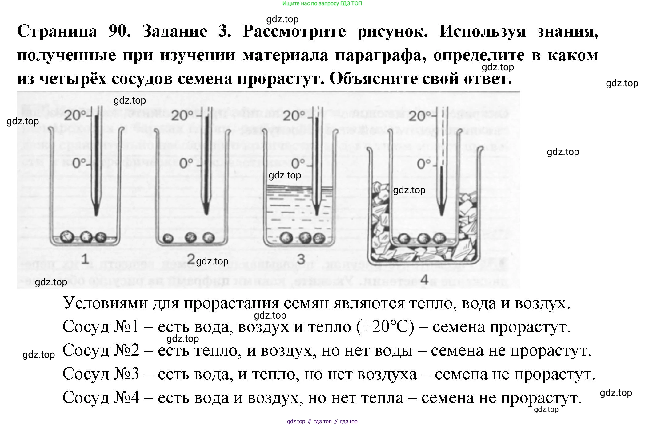 Биология, 6 класс рабочая тетрадь, авторы: Пасечник Владимир Васильевич, Суматохин Сергей Витальевич, Швецов Глеб Геннадьевич, Гапонюк Зоя Георгиевна, Косарькова Марина Викторовна, издательство Просвещение, Москва, 2023, белого цвета, страница 90, номер 3, Решение