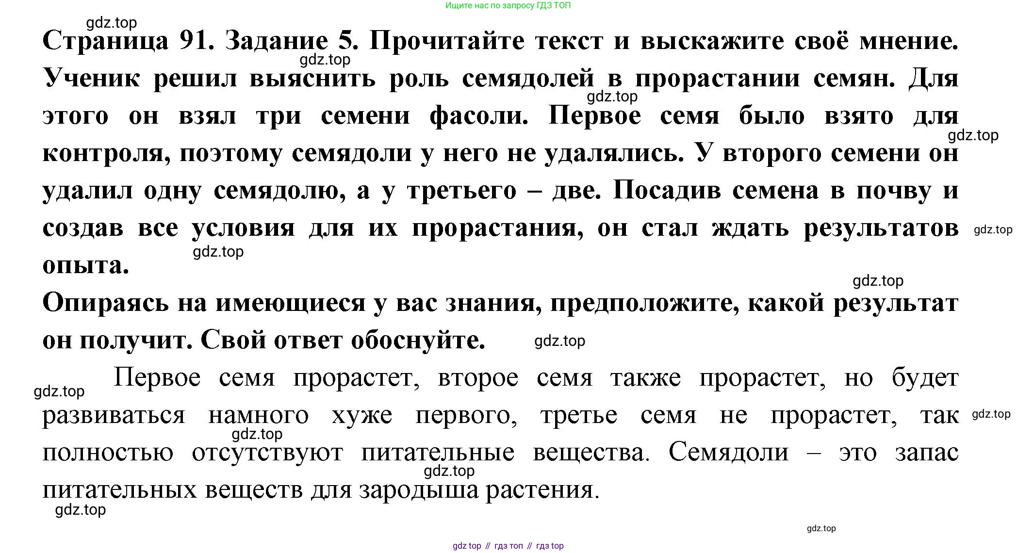ГДЗ Биология, 6 класс рабочая тетрадь, авторы: Пасечник Владимир Васильевич, Суматохин Сергей Витальевич, Швецов Глеб Геннадьевич, Гапонюк Зоя Георгиевна, Косарькова Марина Викторовна, издательство Просвещение, Москва, 2023, белого цвета, страница 91, номер 5, Решение