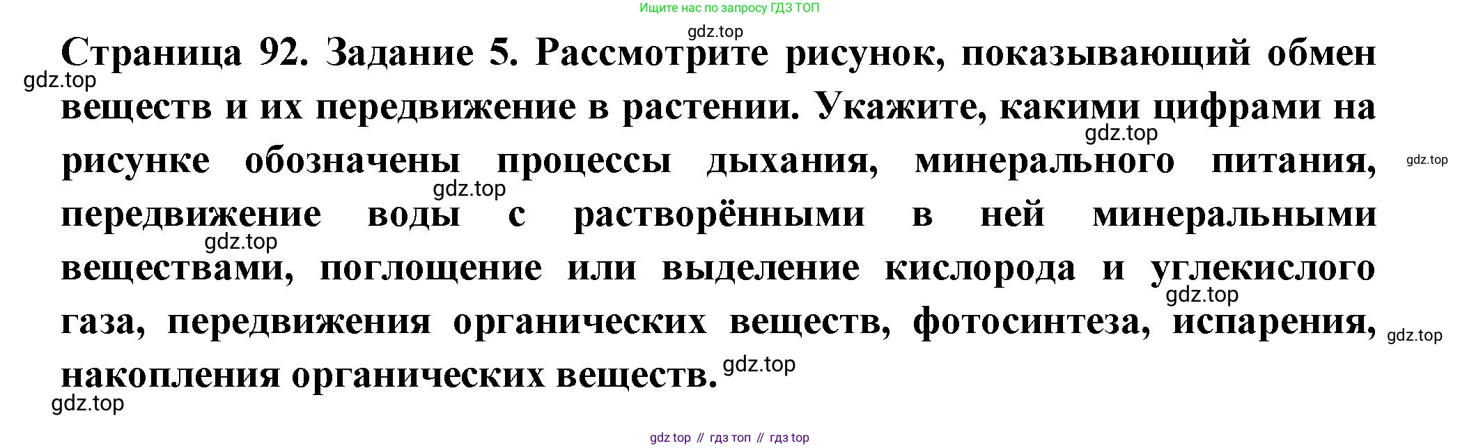 Биология, 6 класс рабочая тетрадь, авторы: Пасечник Владимир Васильевич, Суматохин Сергей Витальевич, Швецов Глеб Геннадьевич, Гапонюк Зоя Георгиевна, Косарькова Марина Викторовна, издательство Просвещение, Москва, 2023, белого цвета, страница 92, номер 6, Решение