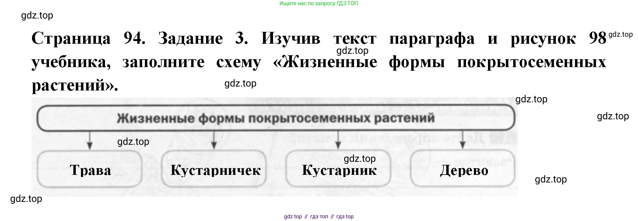 ГДЗ Биология, 6 класс рабочая тетрадь, авторы: Пасечник Владимир Васильевич, Суматохин Сергей Витальевич, Швецов Глеб Геннадьевич, Гапонюк Зоя Георгиевна, Косарькова Марина Викторовна, издательство Просвещение, Москва, 2023, белого цвета, страница 94, номер 3, Решение