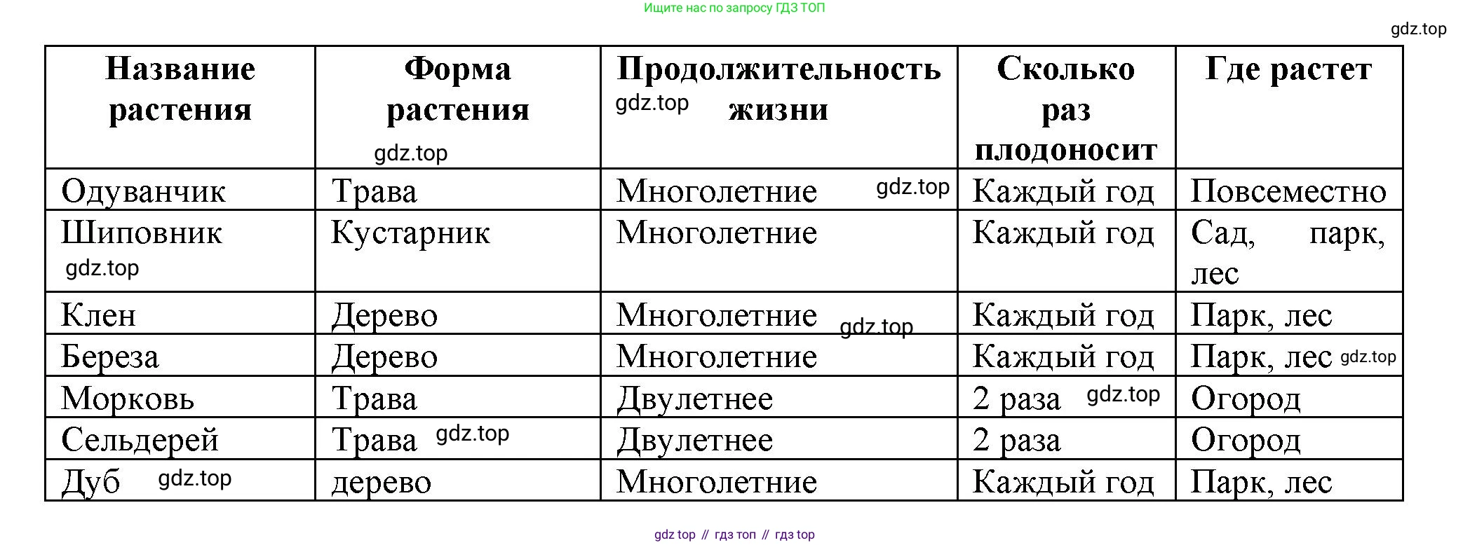 ГДЗ Биология, 6 класс рабочая тетрадь, авторы: Пасечник Владимир Васильевич, Суматохин Сергей Витальевич, Швецов Глеб Геннадьевич, Гапонюк Зоя Георгиевна, Косарькова Марина Викторовна, издательство Просвещение, Москва, 2023, белого цвета, страница 94, номер 4, Решение (продолжение 2)