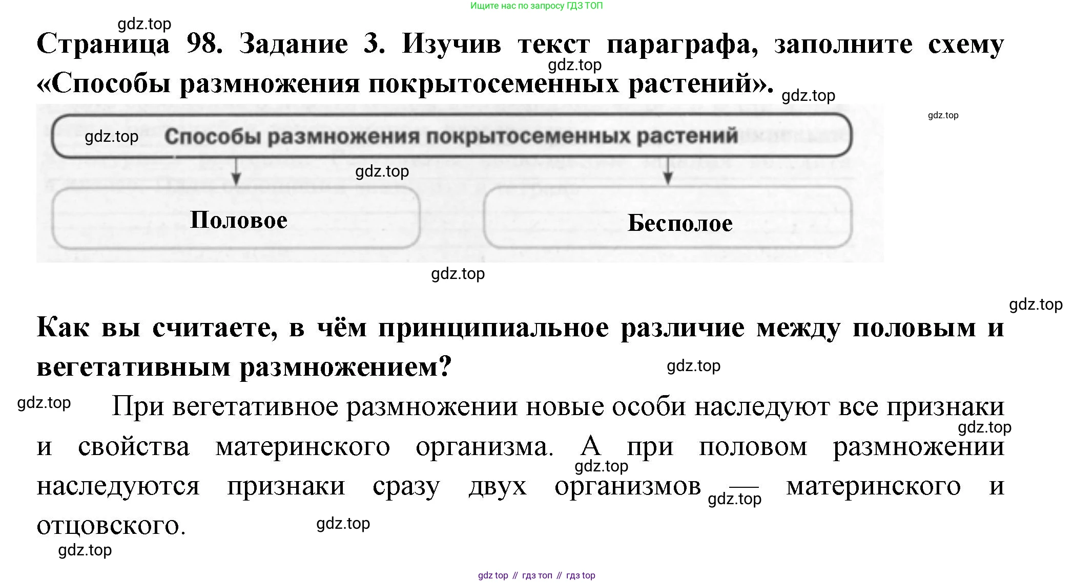 ГДЗ Биология, 6 класс рабочая тетрадь, авторы: Пасечник Владимир Васильевич, Суматохин Сергей Витальевич, Швецов Глеб Геннадьевич, Гапонюк Зоя Георгиевна, Косарькова Марина Викторовна, издательство Просвещение, Москва, 2023, белого цвета, страница 98, номер 3, Решение