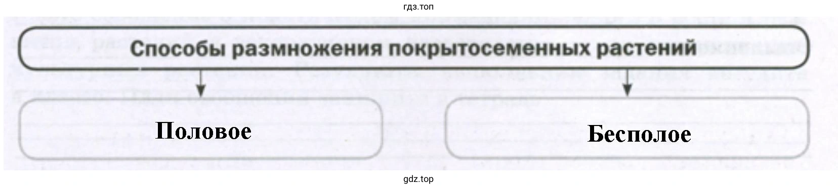 Способы размножения покрытосеменных растений