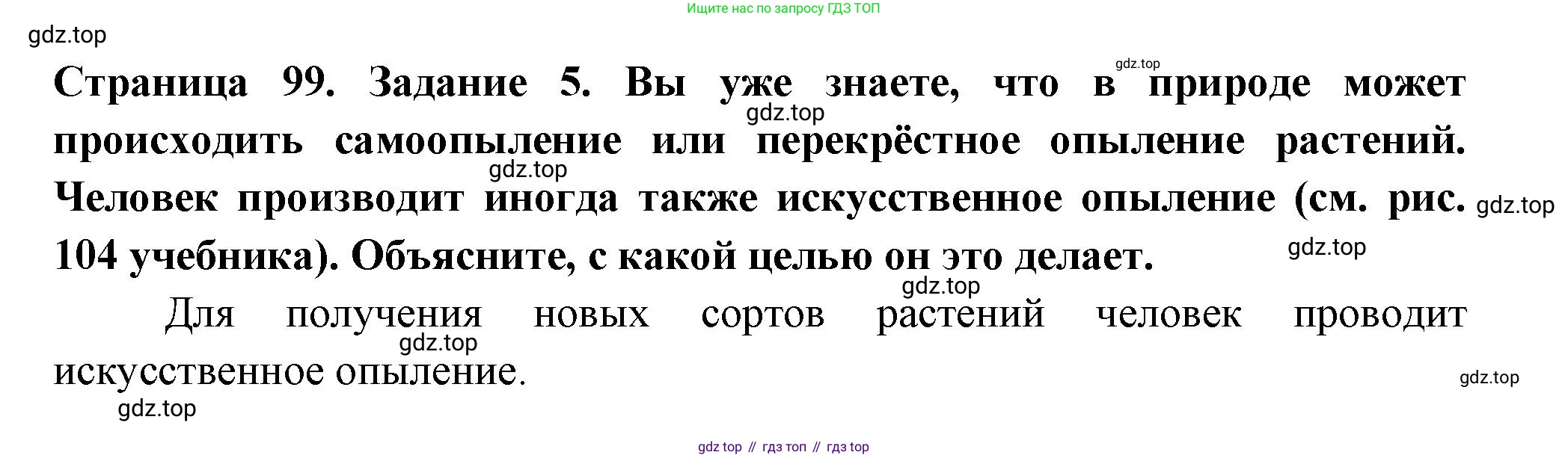 ГДЗ Биология, 6 класс рабочая тетрадь, авторы: Пасечник Владимир Васильевич, Суматохин Сергей Витальевич, Швецов Глеб Геннадьевич, Гапонюк Зоя Георгиевна, Косарькова Марина Викторовна, издательство Просвещение, Москва, 2023, белого цвета, страница 99, номер 5, Решение