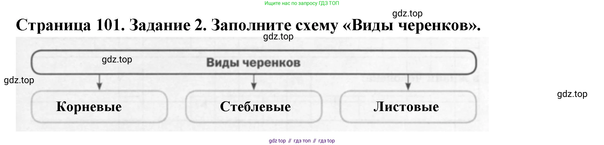 ГДЗ Биология, 6 класс рабочая тетрадь, авторы: Пасечник Владимир Васильевич, Суматохин Сергей Витальевич, Швецов Глеб Геннадьевич, Гапонюк Зоя Георгиевна, Косарькова Марина Викторовна, издательство Просвещение, Москва, 2023, белого цвета, страница 101, номер 2, Решение