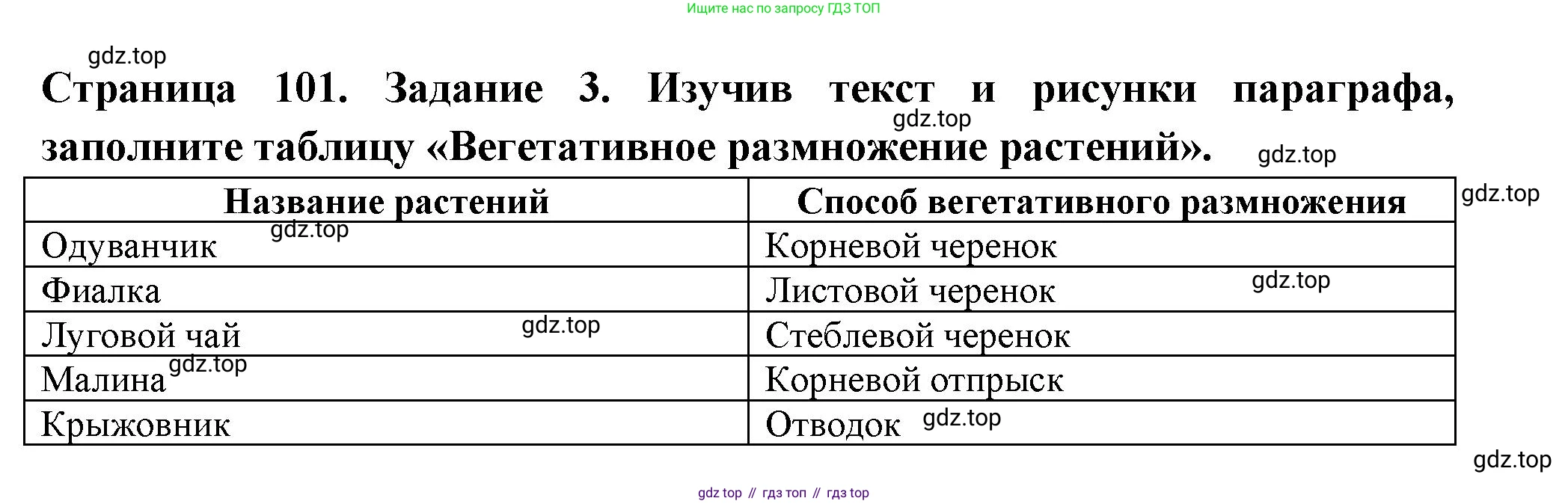ГДЗ Биология, 6 класс рабочая тетрадь, авторы: Пасечник Владимир Васильевич, Суматохин Сергей Витальевич, Швецов Глеб Геннадьевич, Гапонюк Зоя Георгиевна, Косарькова Марина Викторовна, издательство Просвещение, Москва, 2023, белого цвета, страница 101, номер 3, Решение