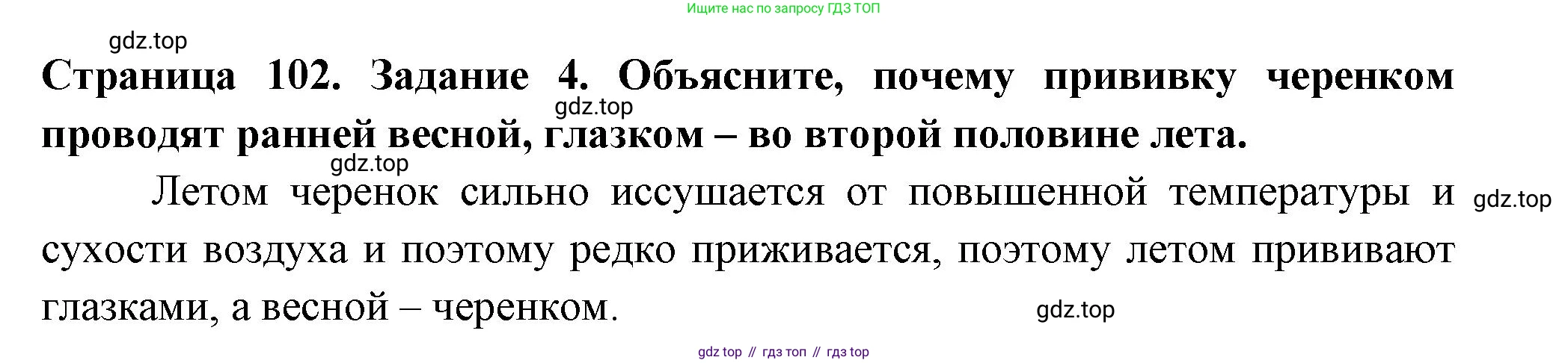 ГДЗ Биология, 6 класс рабочая тетрадь, авторы: Пасечник Владимир Васильевич, Суматохин Сергей Витальевич, Швецов Глеб Геннадьевич, Гапонюк Зоя Георгиевна, Косарькова Марина Викторовна, издательство Просвещение, Москва, 2023, белого цвета, страница 102, номер 4, Решение