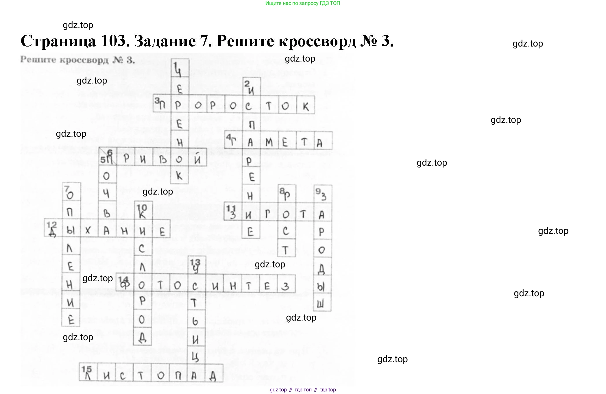 ГДЗ Биология, 6 класс рабочая тетрадь, авторы: Пасечник Владимир Васильевич, Суматохин Сергей Витальевич, Швецов Глеб Геннадьевич, Гапонюк Зоя Георгиевна, Косарькова Марина Викторовна, издательство Просвещение, Москва, 2023, белого цвета, страница 103, номер 7, Решение