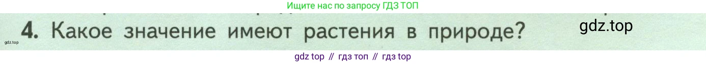 ГДЗ Биология, 6 класс Учебник, авторы: Пасечник Владимир Васильевич, Суматохин Сергей Витальевич, Гапонюк Зоя Георгиевна, Швецов Глеб Геннадьевич, издательство Просвещение, Москва, 2023, белого цвета, страница 13, номер 4, Условие