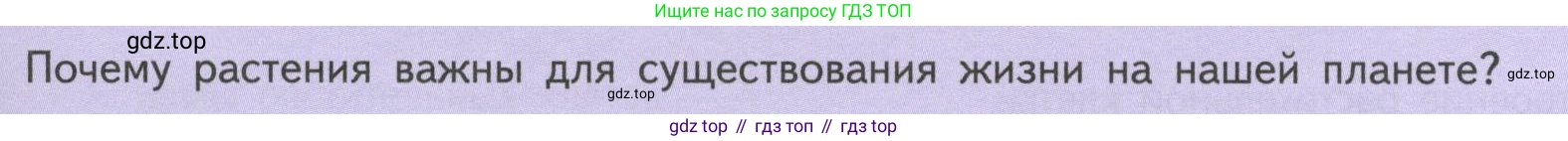ГДЗ Биология, 6 класс Учебник, авторы: Пасечник Владимир Васильевич, Суматохин Сергей Витальевич, Гапонюк Зоя Георгиевна, Швецов Глеб Геннадьевич, издательство Просвещение, Москва, 2023, белого цвета, страница 13, Условие