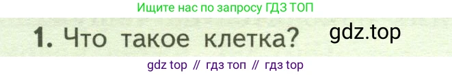 ГДЗ Биология, 6 класс Учебник, авторы: Пасечник Владимир Васильевич, Суматохин Сергей Витальевич, Гапонюк Зоя Георгиевна, Швецов Глеб Геннадьевич, издательство Просвещение, Москва, 2023, белого цвета, страница 14, номер 1, Условие