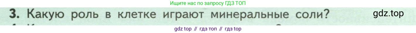 ГДЗ Биология, 6 класс Учебник, авторы: Пасечник Владимир Васильевич, Суматохин Сергей Витальевич, Гапонюк Зоя Георгиевна, Швецов Глеб Геннадьевич, издательство Просвещение, Москва, 2023, белого цвета, страница 24, номер 3, Условие
