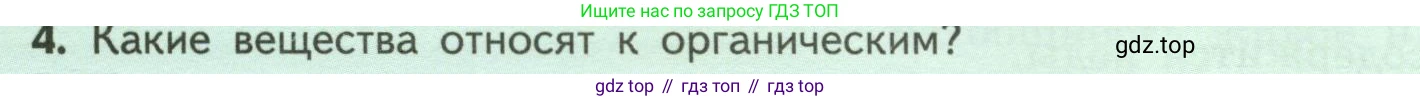 ГДЗ Биология, 6 класс Учебник, авторы: Пасечник Владимир Васильевич, Суматохин Сергей Витальевич, Гапонюк Зоя Георгиевна, Швецов Глеб Геннадьевич, издательство Просвещение, Москва, 2023, белого цвета, страница 24, номер 4, Условие