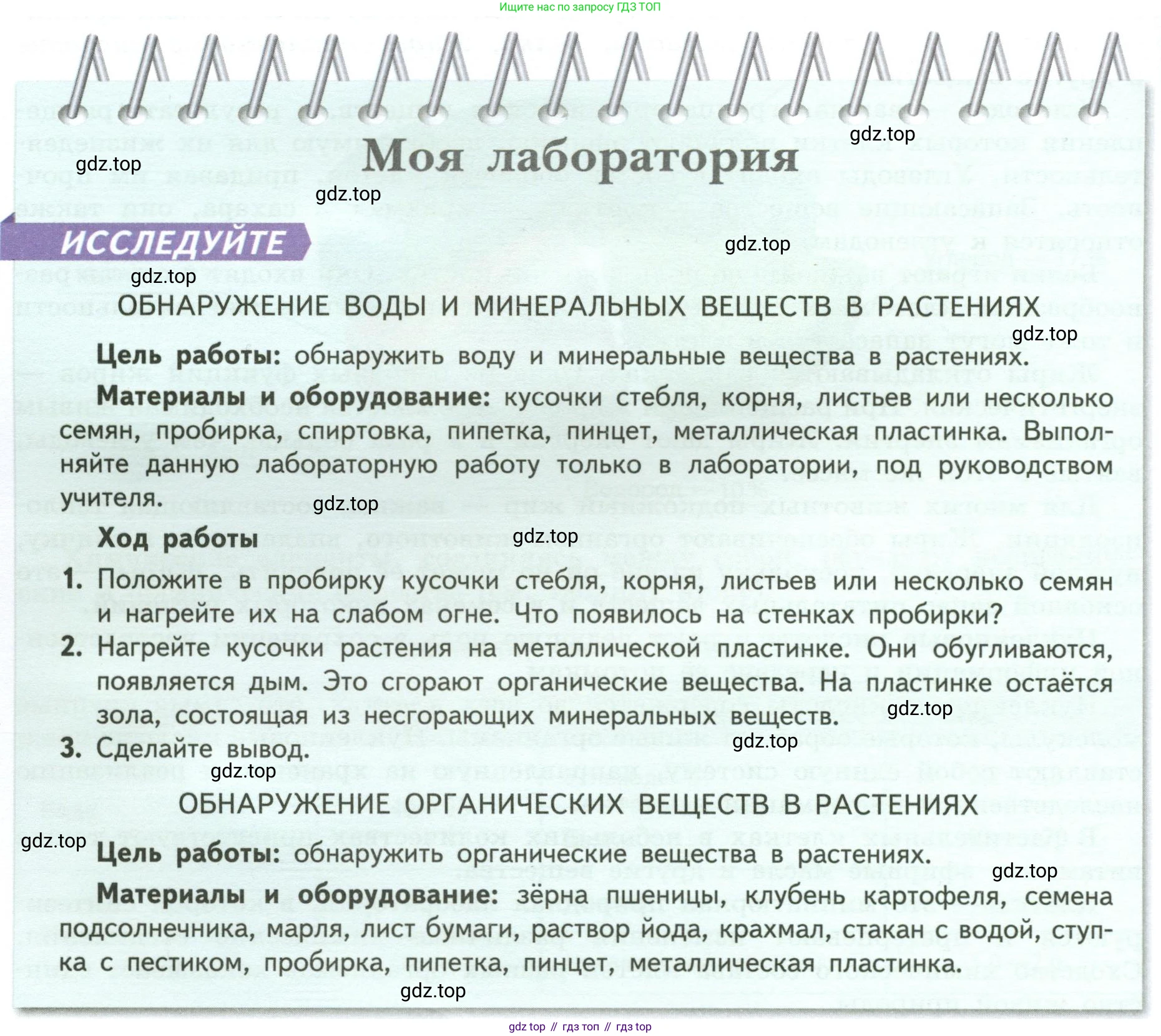 ГДЗ Биология, 6 класс Учебник, авторы: Пасечник Владимир Васильевич, Суматохин Сергей Витальевич, Гапонюк Зоя Георгиевна, Швецов Глеб Геннадьевич, издательство Просвещение, Москва, 2023, белого цвета, страница 24, Условие