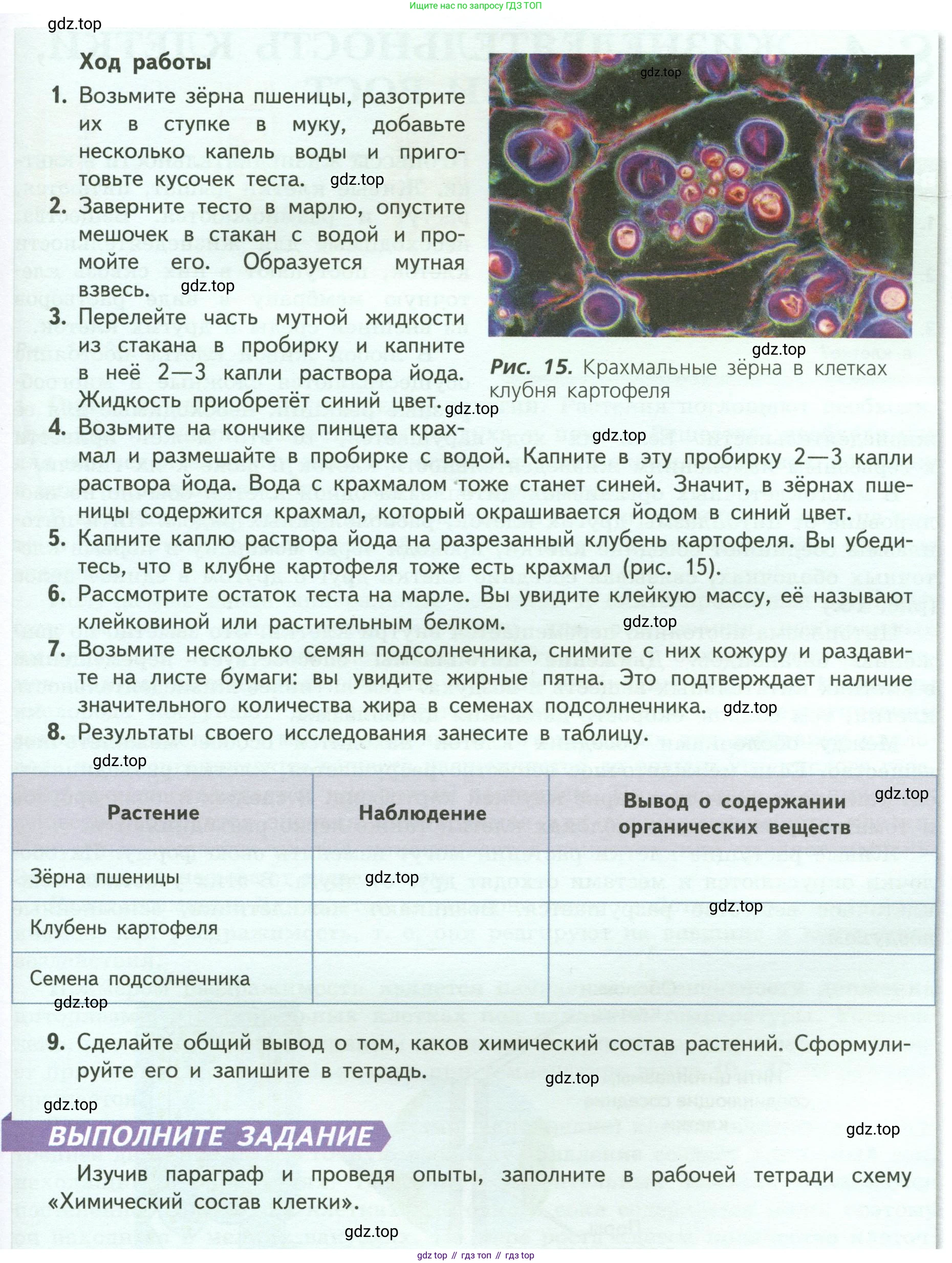 ГДЗ Биология, 6 класс Учебник, авторы: Пасечник Владимир Васильевич, Суматохин Сергей Витальевич, Гапонюк Зоя Георгиевна, Швецов Глеб Геннадьевич, издательство Просвещение, Москва, 2023, белого цвета, страница 24, Условие (продолжение 2)