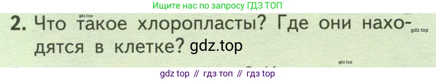 ГДЗ Биология, 6 класс Учебник, авторы: Пасечник Владимир Васильевич, Суматохин Сергей Витальевич, Гапонюк Зоя Георгиевна, Швецов Глеб Геннадьевич, издательство Просвещение, Москва, 2023, белого цвета, страница 26, номер 2, Условие