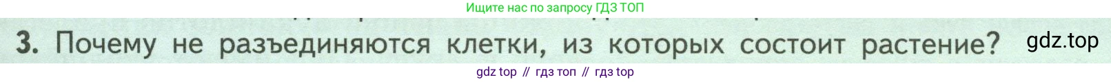 ГДЗ Биология, 6 класс Учебник, авторы: Пасечник Владимир Васильевич, Суматохин Сергей Витальевич, Гапонюк Зоя Георгиевна, Швецов Глеб Геннадьевич, издательство Просвещение, Москва, 2023, белого цвета, страница 29, номер 3, Условие