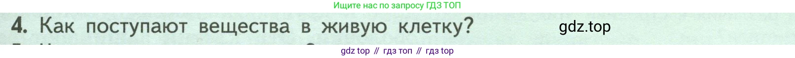 ГДЗ Биология, 6 класс Учебник, авторы: Пасечник Владимир Васильевич, Суматохин Сергей Витальевич, Гапонюк Зоя Георгиевна, Швецов Глеб Геннадьевич, издательство Просвещение, Москва, 2023, белого цвета, страница 29, номер 4, Условие