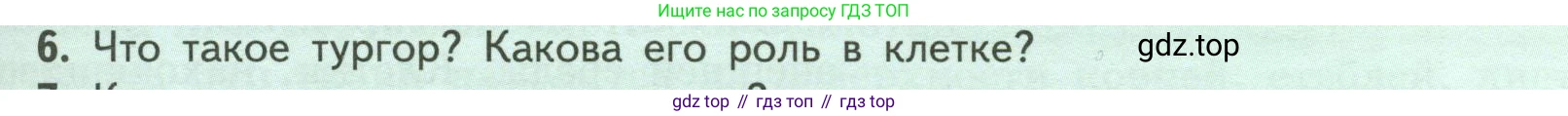 ГДЗ Биология, 6 класс Учебник, авторы: Пасечник Владимир Васильевич, Суматохин Сергей Витальевич, Гапонюк Зоя Георгиевна, Швецов Глеб Геннадьевич, издательство Просвещение, Москва, 2023, белого цвета, страница 29, номер 6, Условие