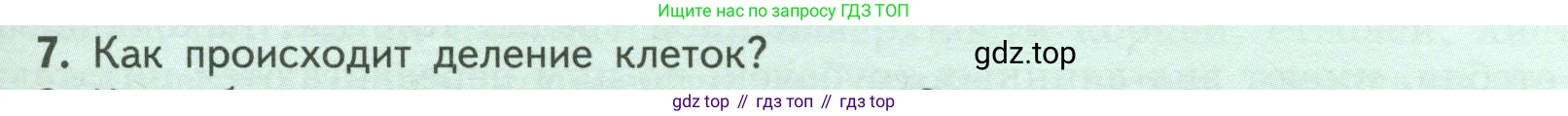ГДЗ Биология, 6 класс Учебник, авторы: Пасечник Владимир Васильевич, Суматохин Сергей Витальевич, Гапонюк Зоя Георгиевна, Швецов Глеб Геннадьевич, издательство Просвещение, Москва, 2023, белого цвета, страница 29, номер 7, Условие