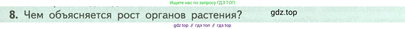 ГДЗ Биология, 6 класс Учебник, авторы: Пасечник Владимир Васильевич, Суматохин Сергей Витальевич, Гапонюк Зоя Георгиевна, Швецов Глеб Геннадьевич, издательство Просвещение, Москва, 2023, белого цвета, страница 29, номер 8, Условие